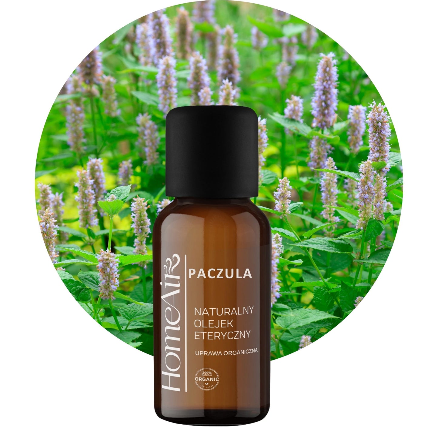 PACZULA | naturalny olejek eteryczny | BIO