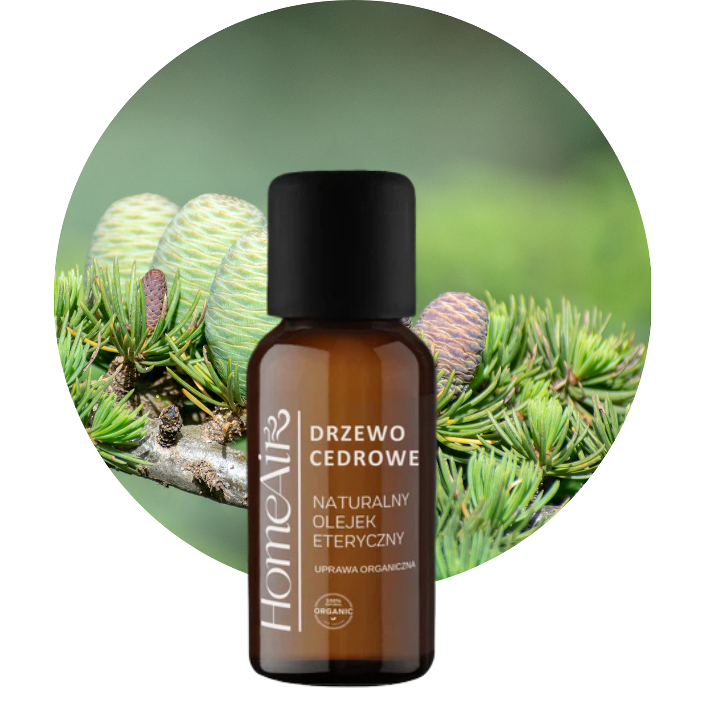 DRZEWO CEDROWE | naturalny olejek eteryczny | BIO