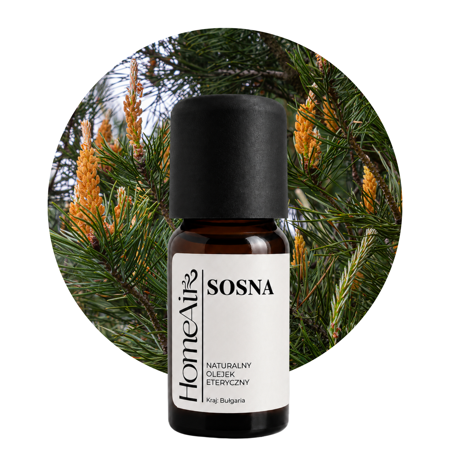 SOSNA ZWYCZAJNA | naturalny olejek eteryczny | BIO