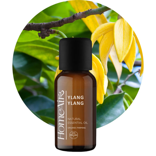 Właściwości olejku Ylang Ylang