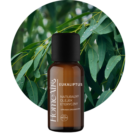 EUKALIPTUS | naturalny olejek eteryczny | BIO