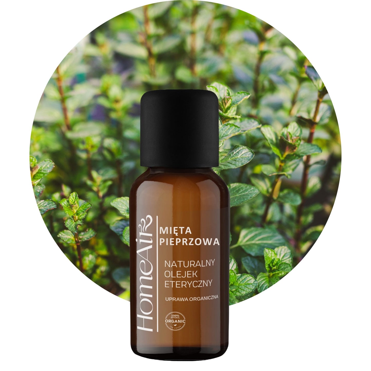 MIĘTA PIEPRZOWA | naturalny olejek eteryczny | BIO