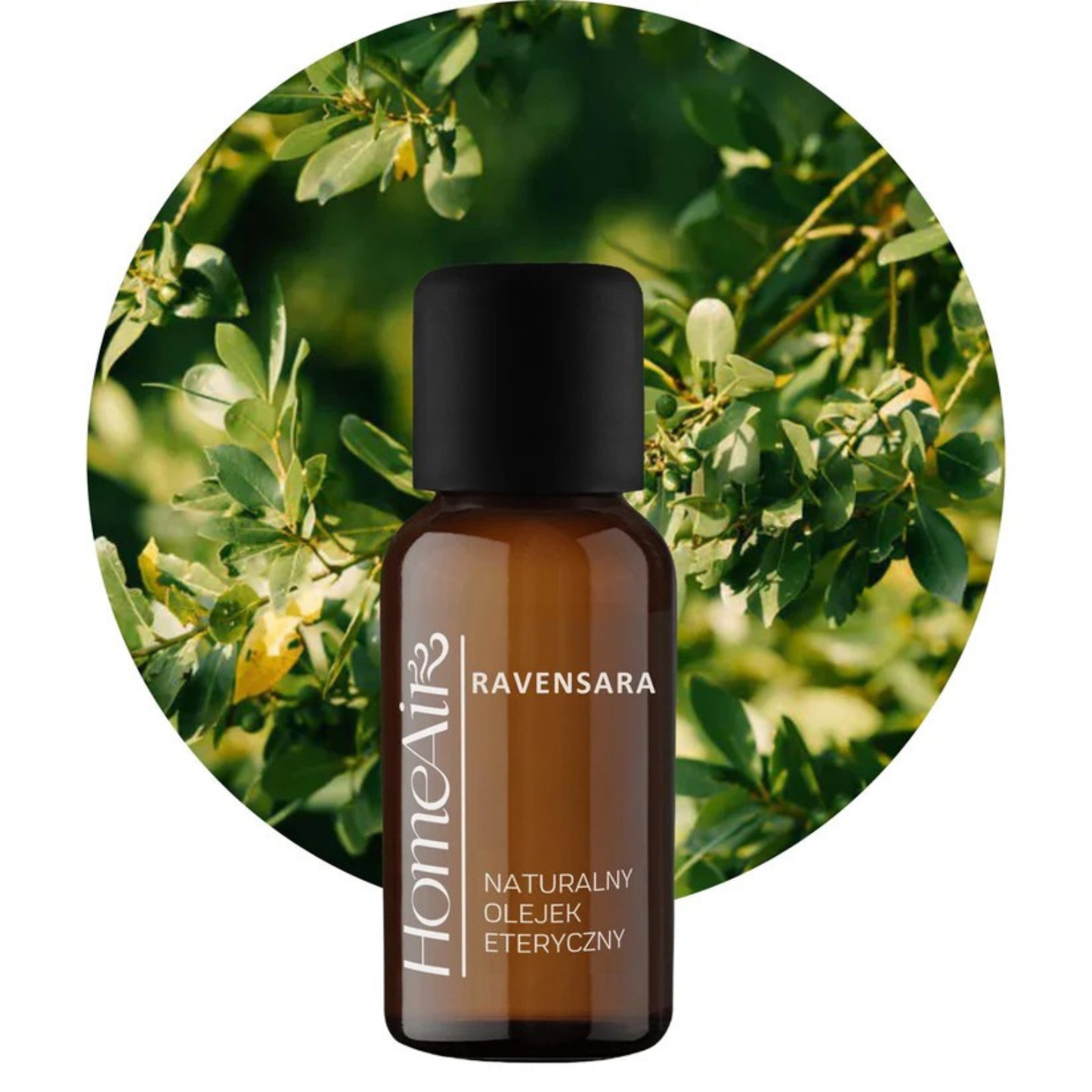RAVENSARA | naturalny olejek eteryczny | BIO