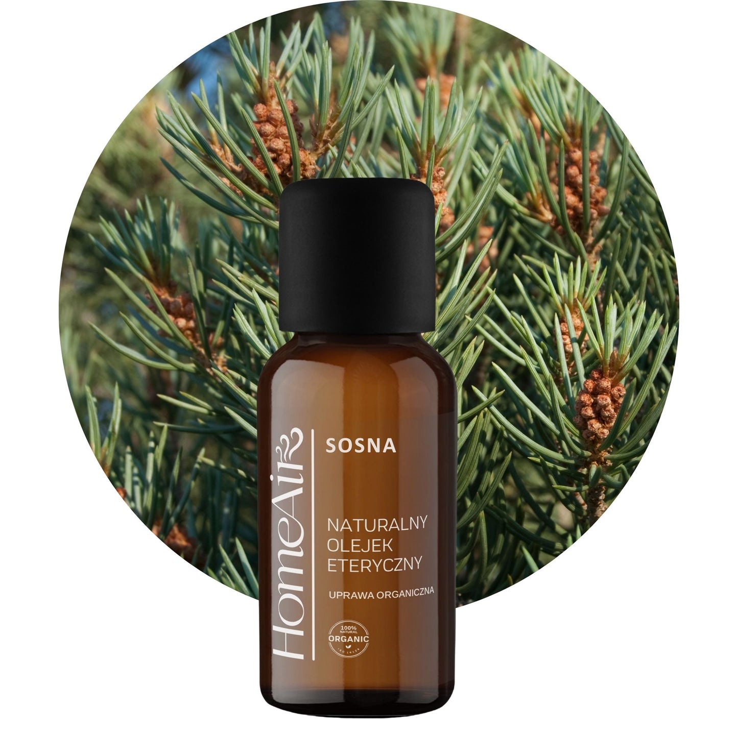 SOSNA | naturalny olejek eteryczny | BIO