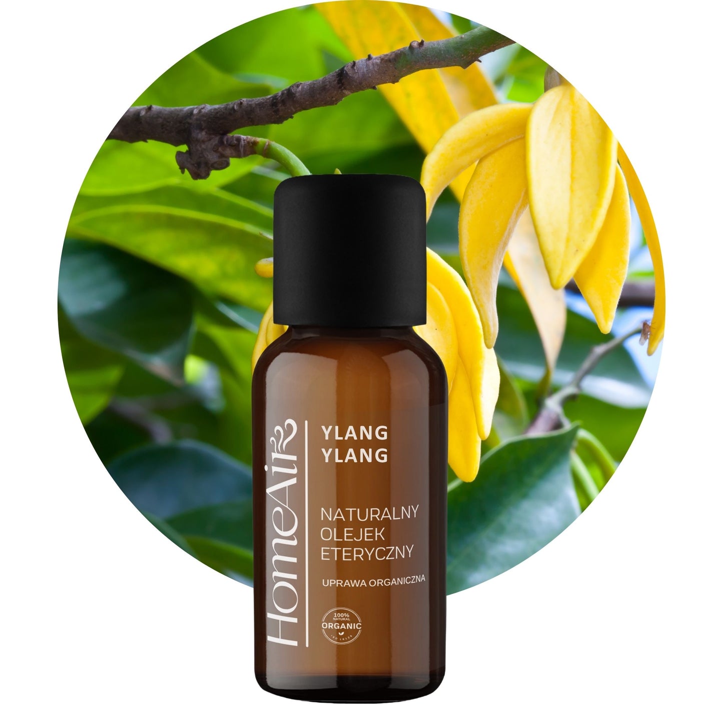 YLANG YLANG | naturalny olejek eteryczny | BIO