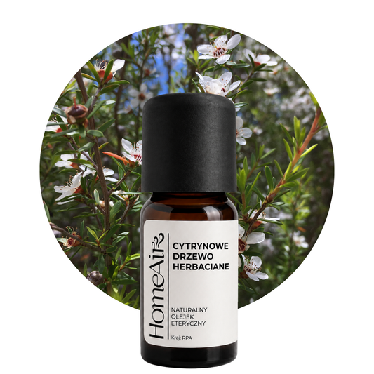 CYTRYNOWE DRZEWO HERBACIANE | naturalny olejek eteryczny | BIO