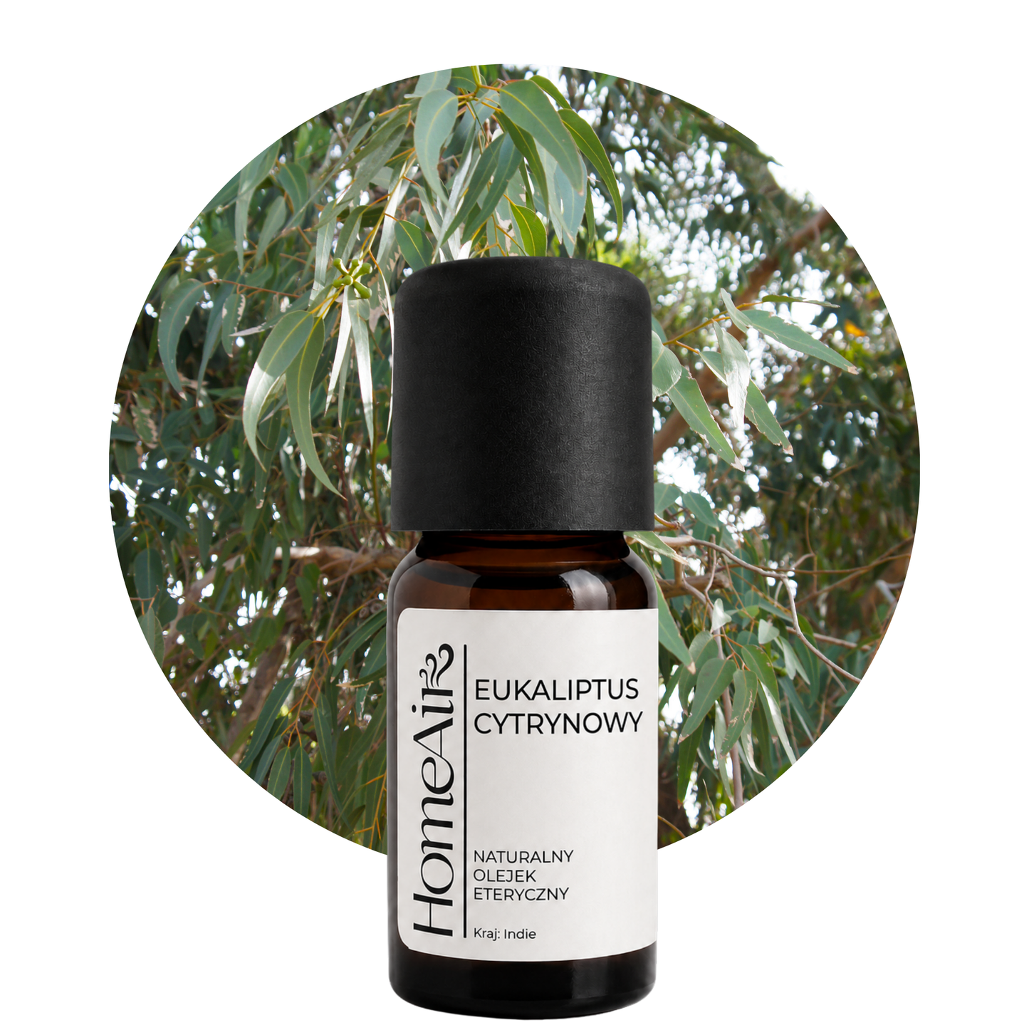 EUKALIPTUS CYTRYNOWY | naturalny olejek eteryczny | BIO