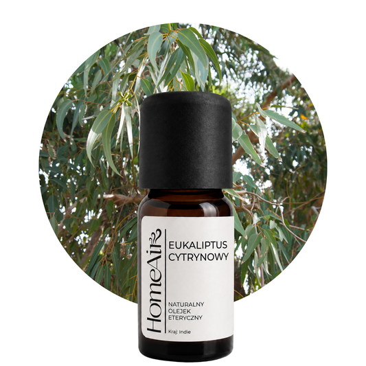 EUKALIPTUS CYTRYNOWY | naturalny olejek eteryczny | BIO