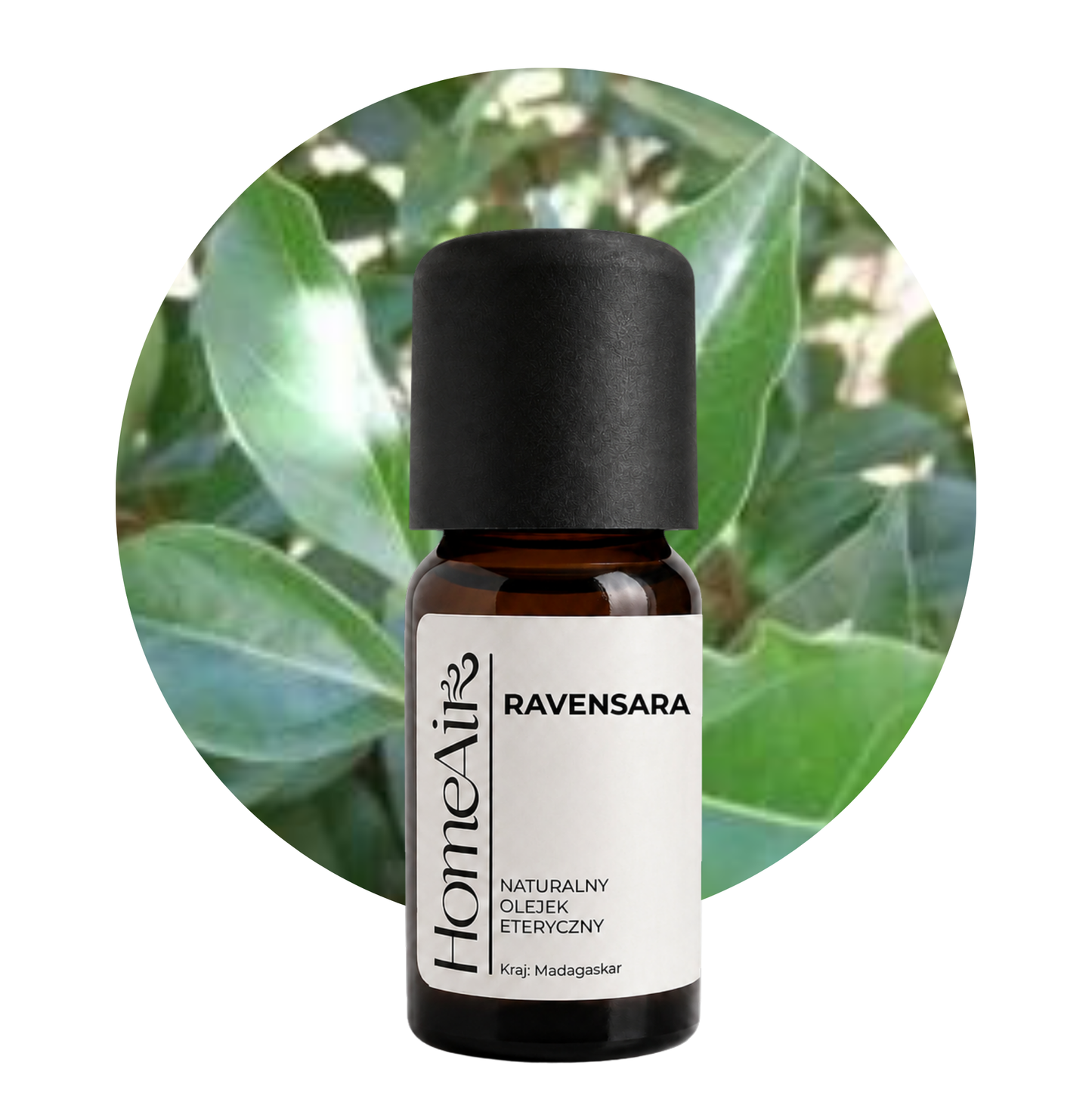 RAVENSARA | naturalny olejek eteryczny